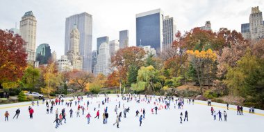 Skating in New York clipart