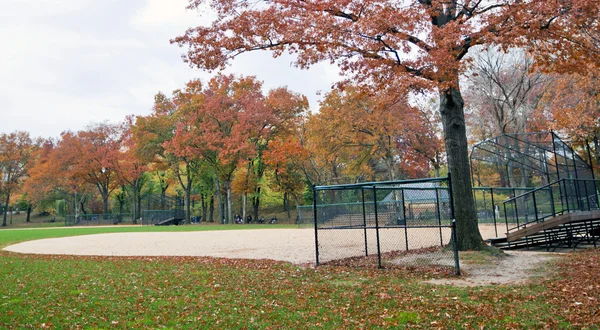 stock image Baseball pitch