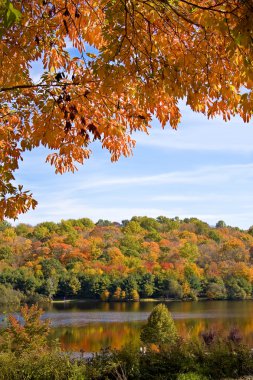 Fall scenic clipart