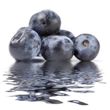 Blueberries clipart