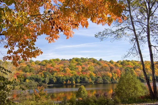 Herbstlandschaften — Stockfoto