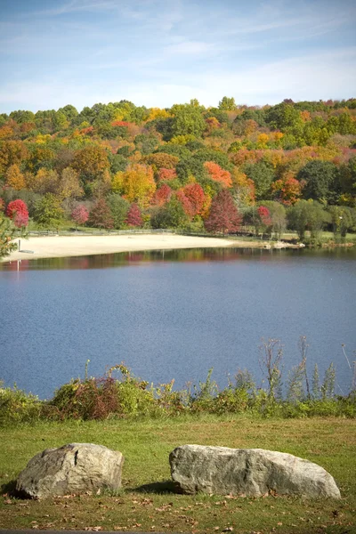 Autumn trees and lake — Stock Photo, Image