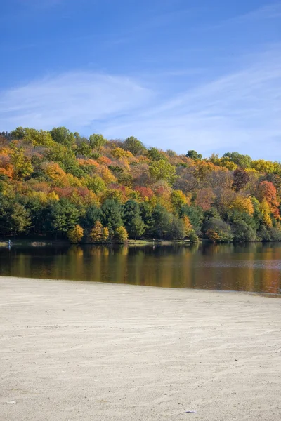 Herbstbäume und See — Stockfoto