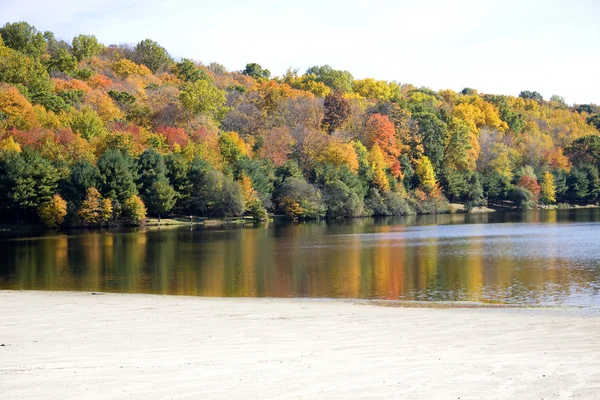 秋天的树木和湖 — 图库照片