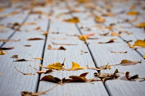 Wet leaves on decking — Stock Photo, Image
