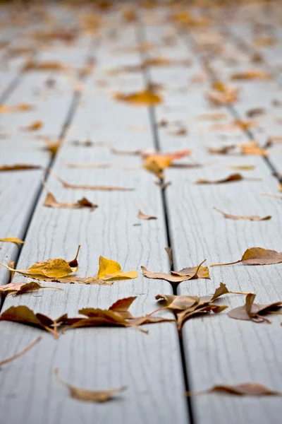 stock image Wet leaves on decking