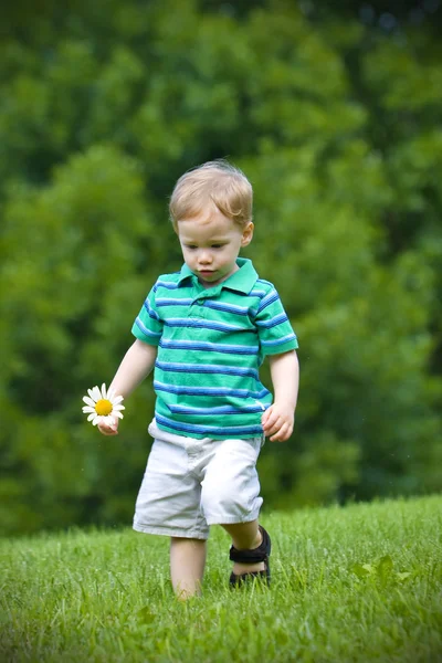 Junge geht mit Blume — Stockfoto