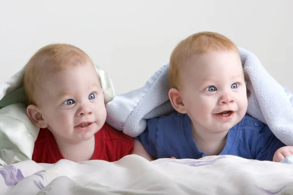 Mooie twin baby 's — Stockfoto