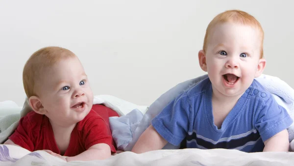 Mooie twin baby 's — Stockfoto