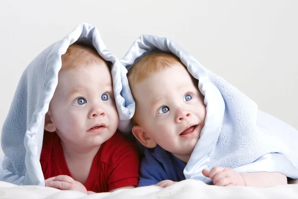 Güzel ikiz bebekler — Stok fotoğraf