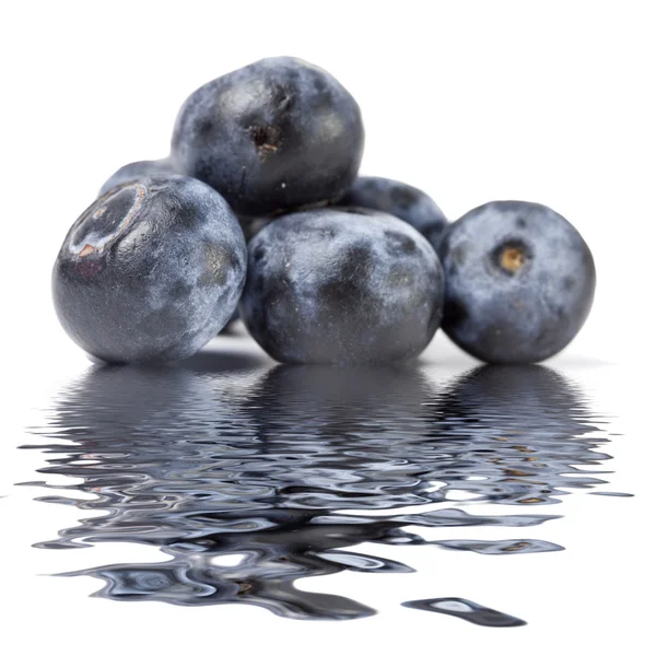 stock image Blueberries