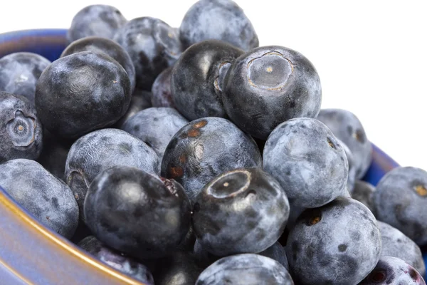 stock image Blueberries