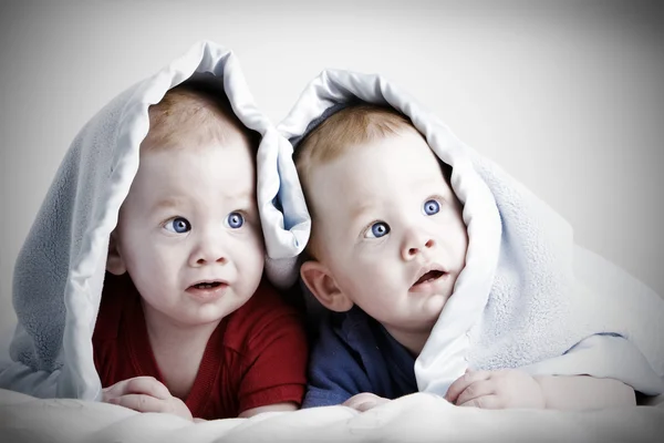 Schöne Zwillingsbabys — Stockfoto