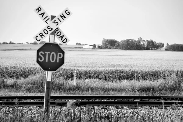 Cruce ferroviario —  Fotos de Stock