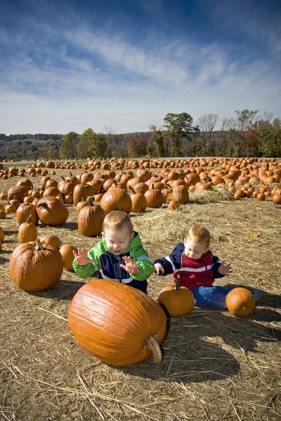 Pumpkin patch fun — Stock Photo, Image