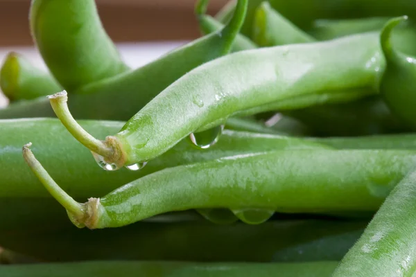 Grüne Bohnen — Stockfoto