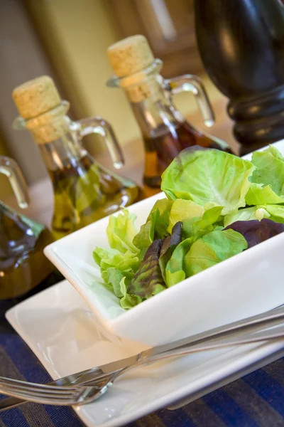 Grønn salat – stockfoto