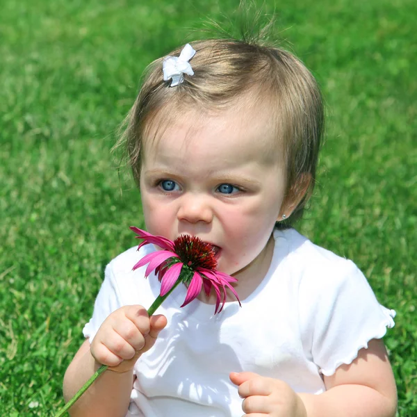Cute baby girl — Stock Photo, Image