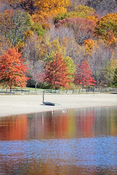 Fall trees by water — Stock Photo, Image