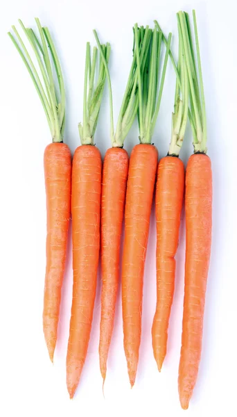 stock image Carrots on white