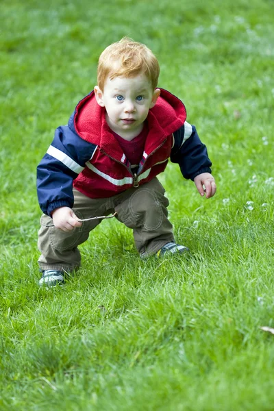 Baby boy outside Royalty Free Stock Images