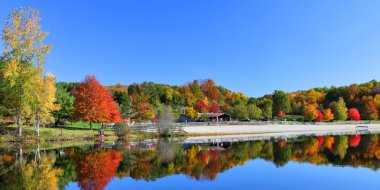 Stunning lake in fall clipart