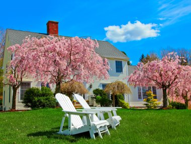 House in spring clipart