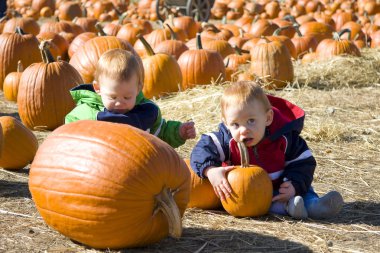 Pumpkin patch boys clipart