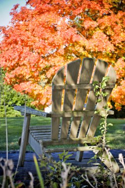 Adirondack chair in front of trees clipart