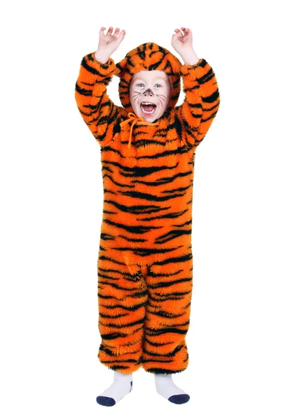 Tiger costume — Stock Photo, Image