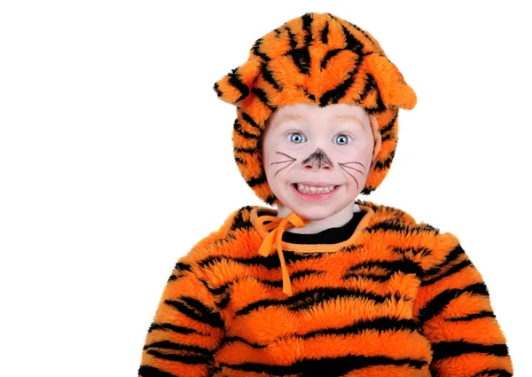 Тигр костюм — стокове фото