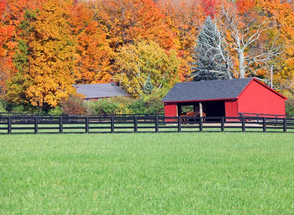 Pferdeställe im Herbst — Stockfoto