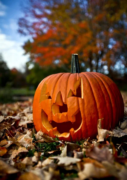 Creepy pumpkin — Stock Photo, Image