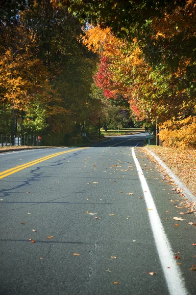 Straße im Herbst — Stockfoto
