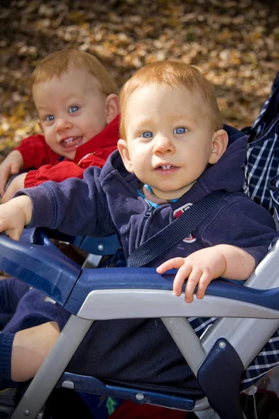 Twins in wandelwagen — Stockfoto