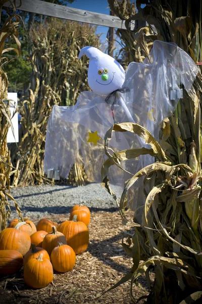 Ghost at farm — Stock Photo, Image
