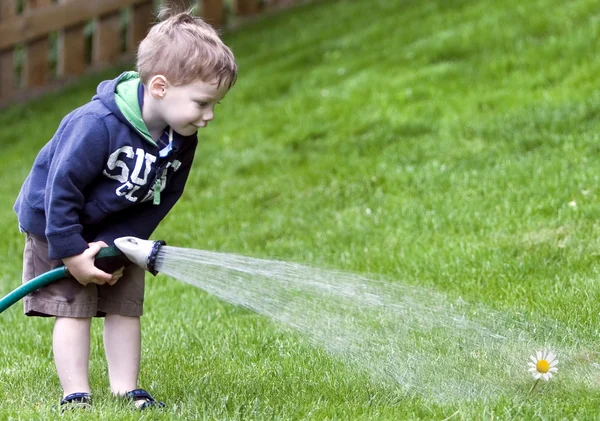 stock image Boy watering flower