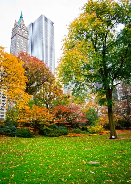 Central Park — Photo