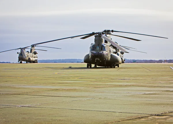 stock image Chinook