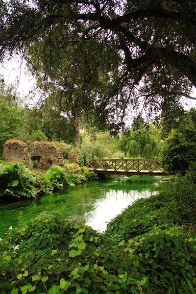 stock image The wooden bridge