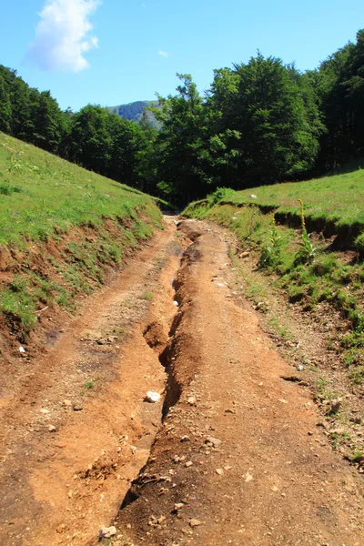 stock image Footpath plowed by rain