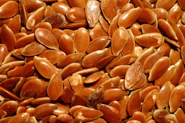 Detailní obrázek hnědé lněné semínko (lněná semena) — Stock fotografie