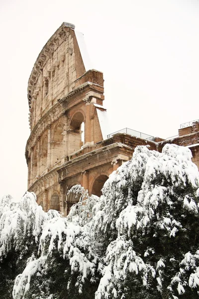 O Coliseu coberto de neve — Fotografia de Stock