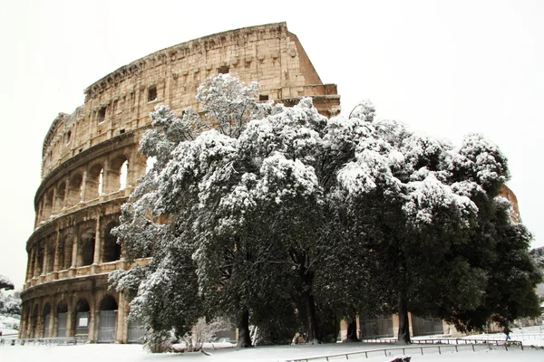 Koloseum, objętych śniegu — Zdjęcie stockowe