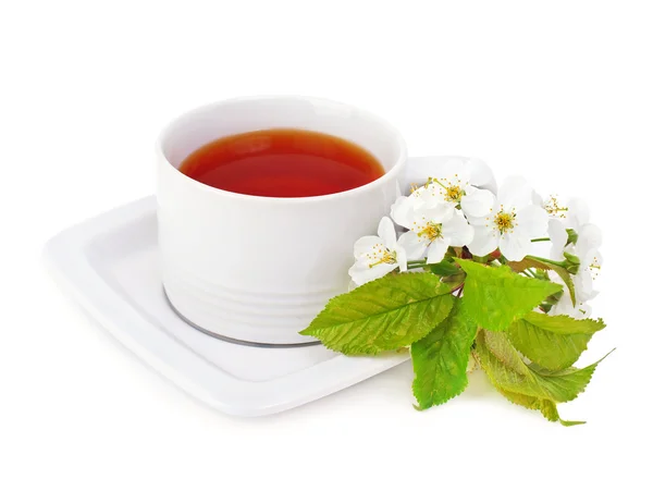 Herbata i kwiat . — Zdjęcie stockowe