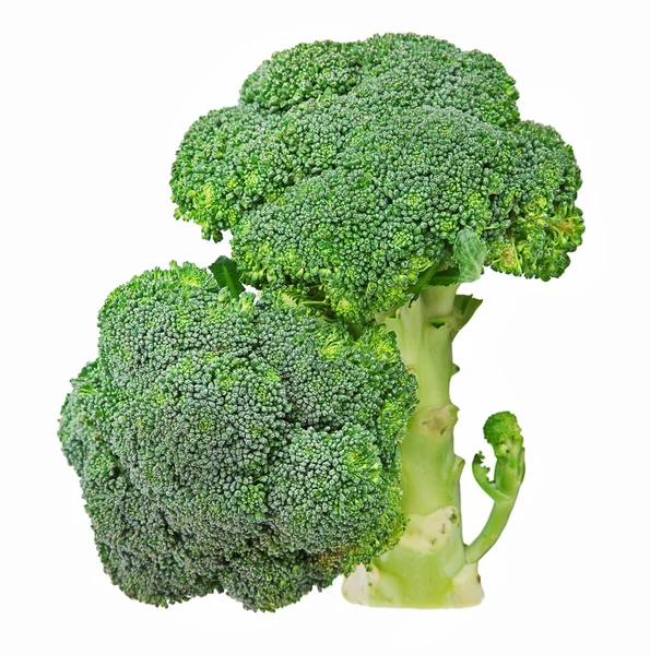 Zelí brokolice. — Stock fotografie