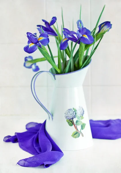 Blue irises — Zdjęcie stockowe