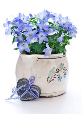 Bells in a flower pot clipart