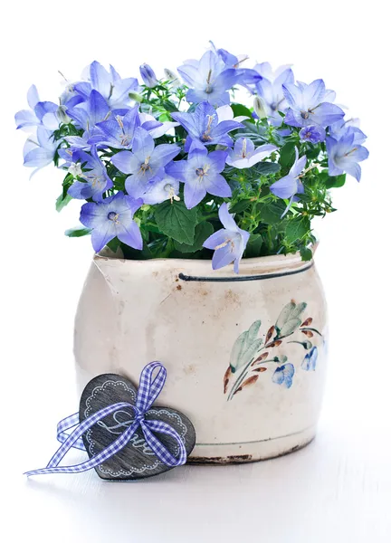 Sinos em um vaso de flores — Fotografia de Stock