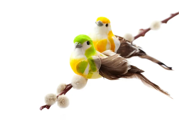 Dois pássaro adorável — Fotografia de Stock